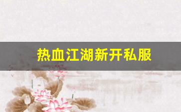 热血江湖新开私服 (5)