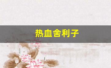 今天新开热血江湖私服：热血舍利子(舍利子