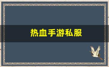 热血手游私服(热血手游官网官方网站) (