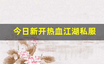 今日新开热血江湖私服 (13)