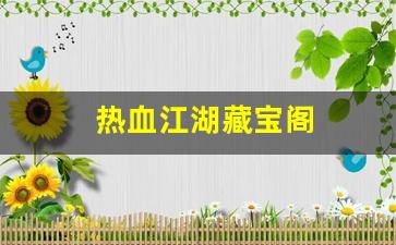 热血江湖藏宝阁(热血江湖藏宝阁都什么是加