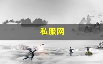 私服网(手游私sf平台) (8)