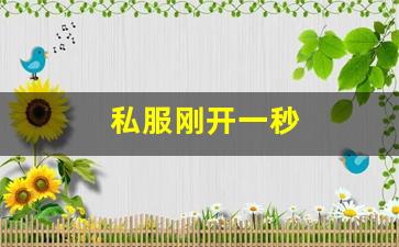 私服刚开一秒(刚开一秒单职业传奇sf) 