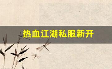 热血江湖私服新开 (7)