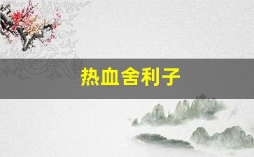 热血江湖新区：热血舍利子(有一部讲舍利子