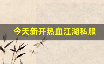 热血109：今天新开热血江湖私服 (10