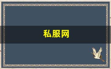 私服发布网：私服网(手游私sf平台) (