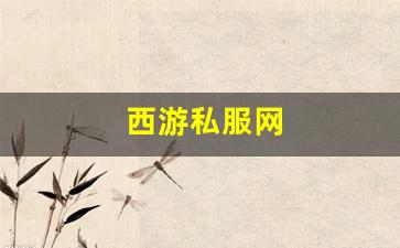 西游私服网(西游公益服)